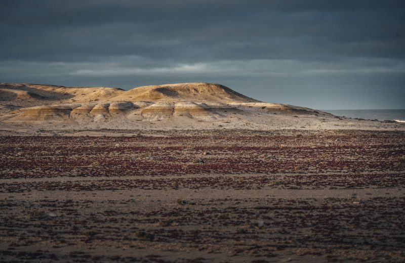 Dakhla – Chami — 29
